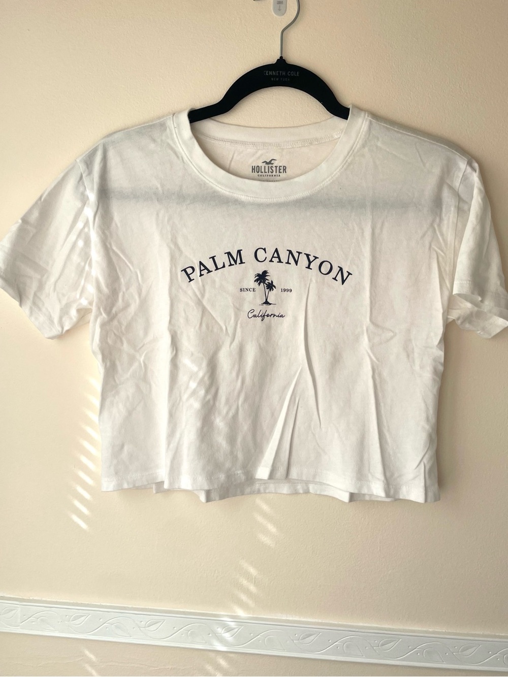 Hollister White Crop Tee with Navy 'Palm Canyon' Graphic